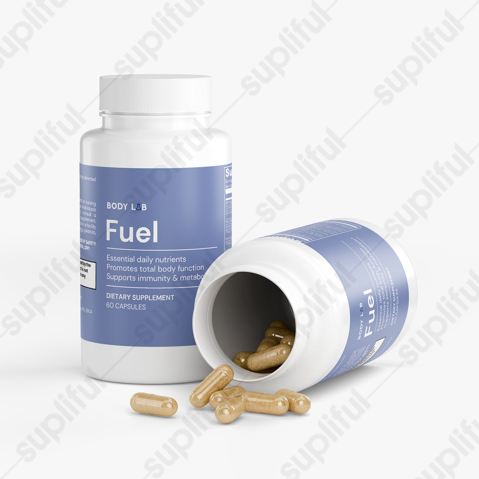 Fuel